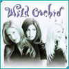 wildorchidcover wildorchidcover